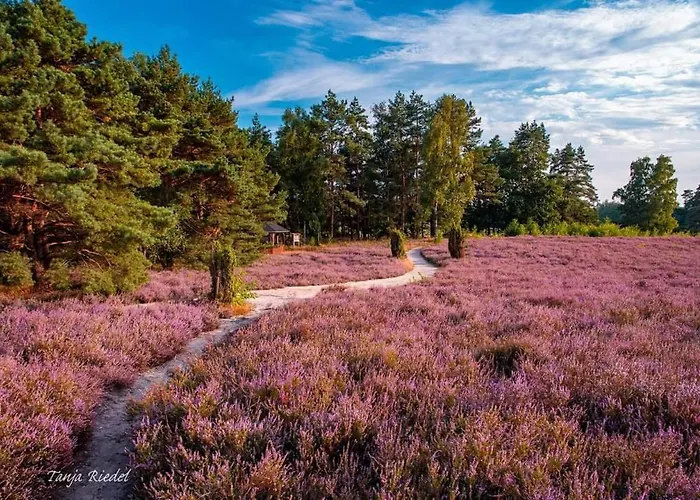 Duemmerliebe Mit Garten, 10 Min. Fusslaeufig Zum Casa vacanze Hüde